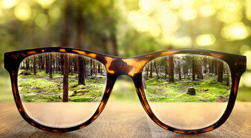 Vision