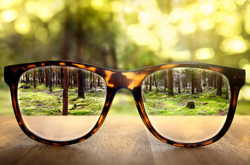 Vision
